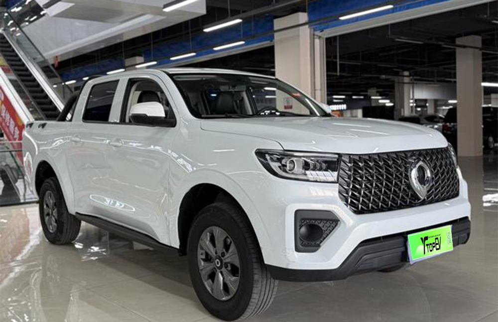 Used 2023 Great Wall